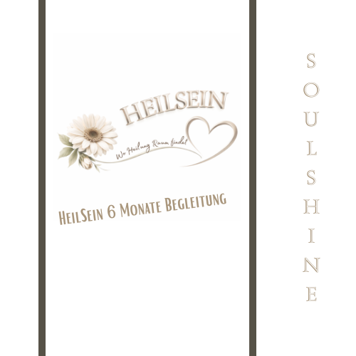 Logo von HeilSein mit einem floralen Design und dem Schriftzug 'HeilSein 6 Monate Begleitung'.